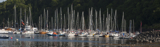 tobermory whyw14pnrb thurs 8669